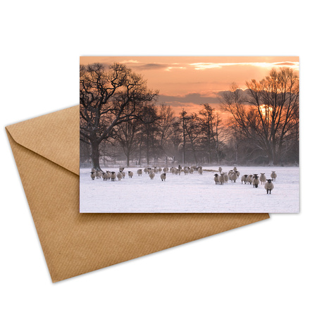 JMGC-004 Winter glow - 7 x 5" card
